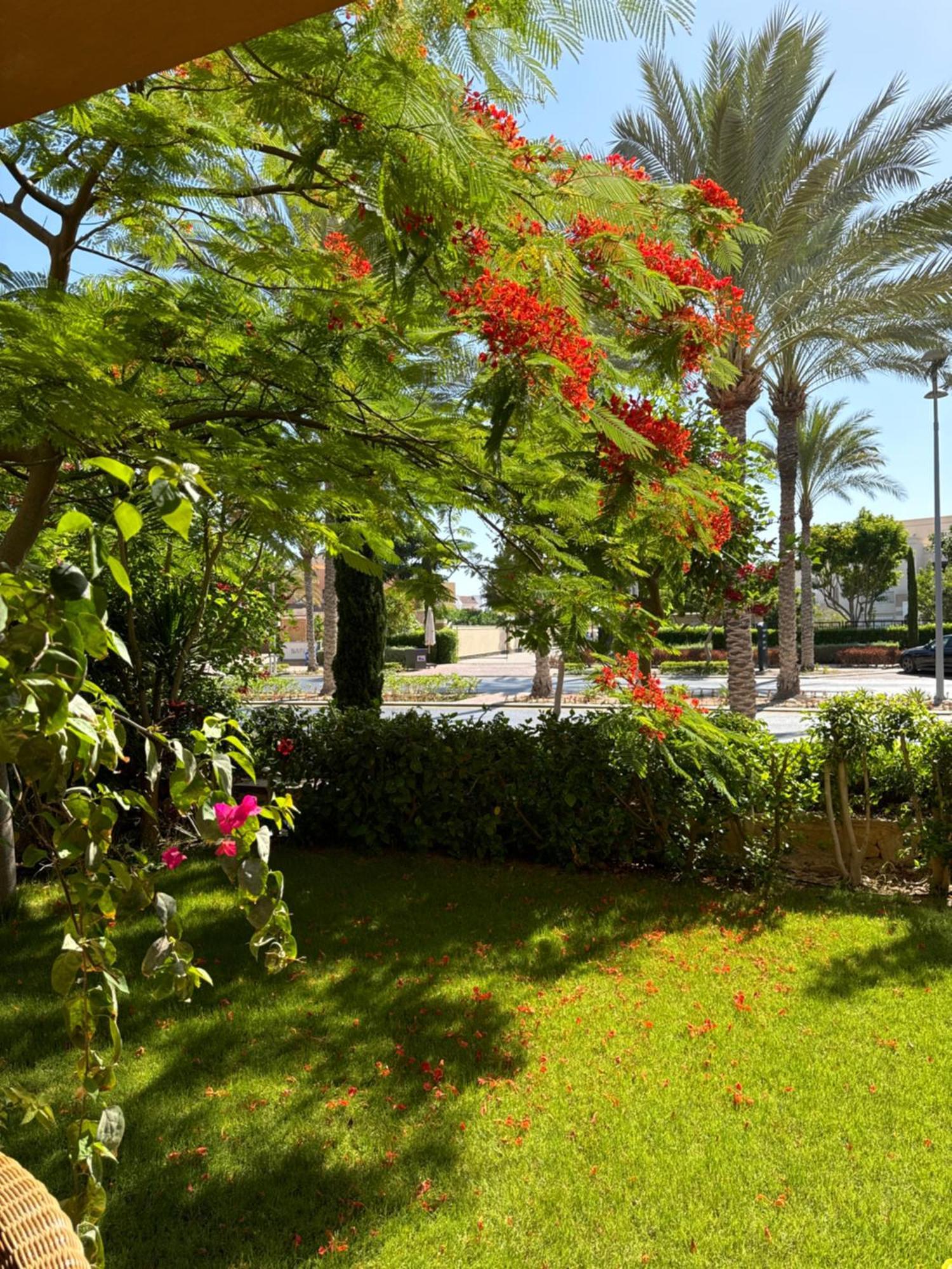 Marassi,El Alamein, Twin House Verdi Villa Bagian luar foto